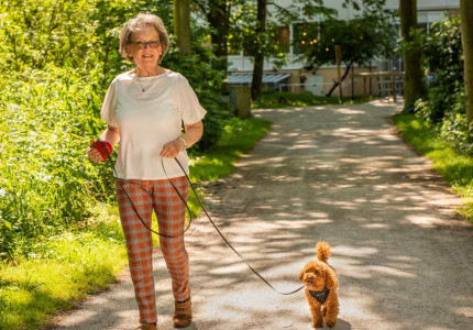 Senioren wandelen met oppashond
