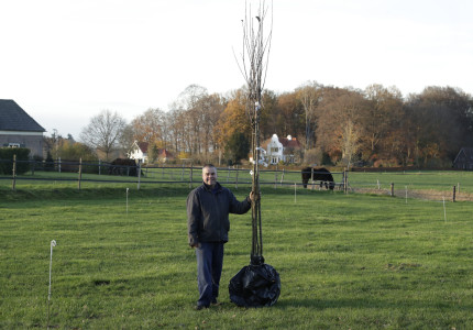 Brummen zet in op versterking landschap buitengebied