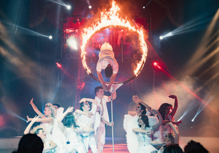 Het circus is weer in de stad!