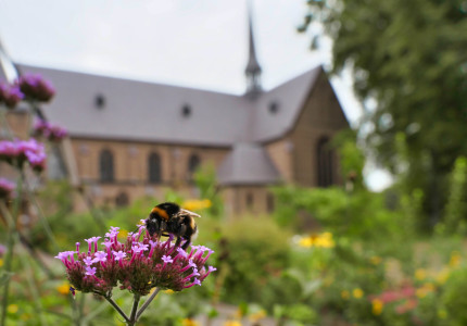Choral Evensong in klooster
