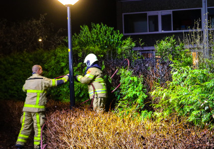Brand in coniferenhaag snel geblust