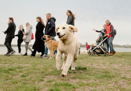 Met hond lopen voor goed doel