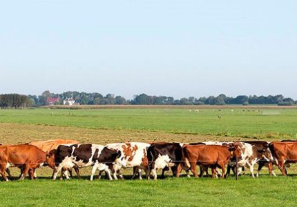 Boeren en tuinders lanceren massale publieksactie