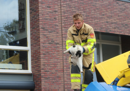 Kat vast in hoogwerker; brandweer in actie