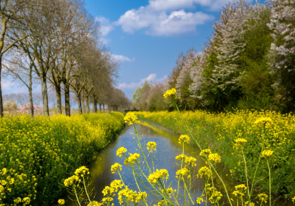 ANWB Fonds geeft € 10.000 aan mooiste project uit Gelderland