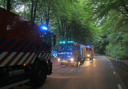 Bosbrandje