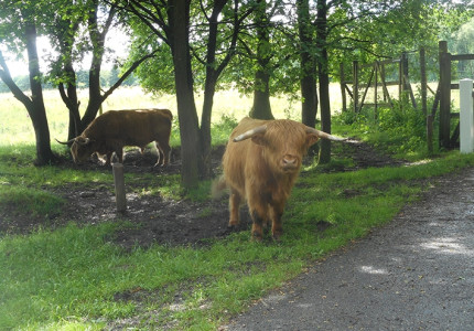 Fietstocht Imbos en Terlet