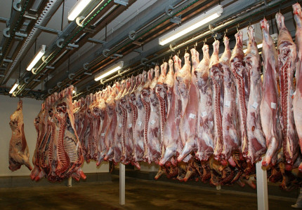 Europees Parlement wil meer inspecties in Nederlandse slachthuizen