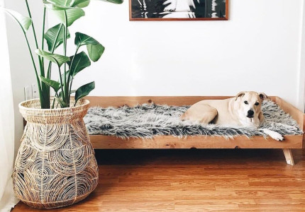 Luieren op de lekkerste daybeds voor binnen en buiten