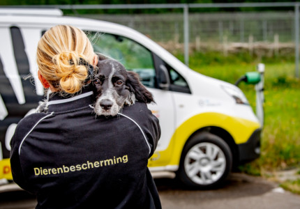 Collectanten gezocht voor de Dierenbescherming