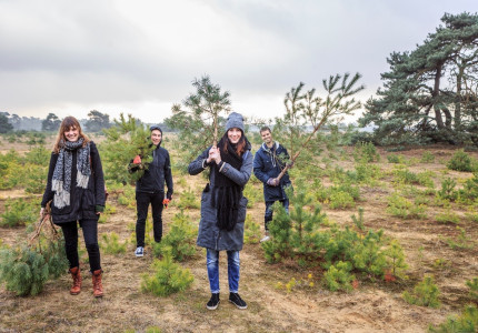 Uittips voor Apeldoorn: Zaag je eigen kerstboom