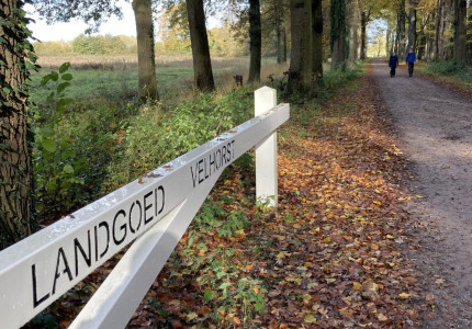IVN herfstwandeling Velhorst