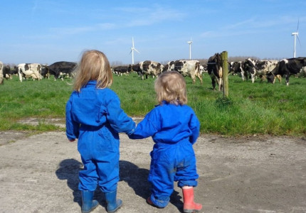 Diversiteit aan veldexperimenten in GLB-pilot Salland