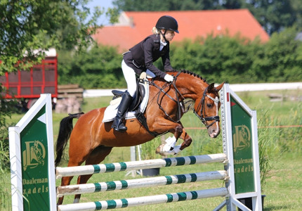 Paarden en pony’s in actie