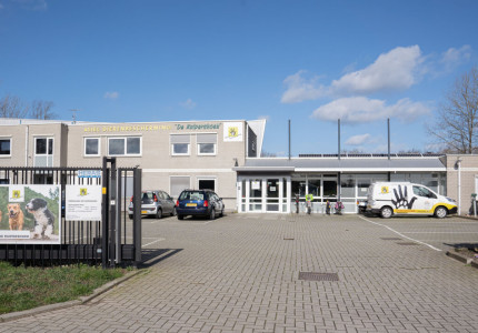 Ouder damespaar zoekt fijn verzorgingshuis
