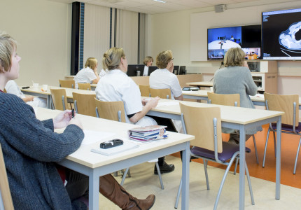 Focus op maag en slokdarm