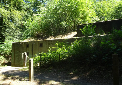 Open dag bunkers IJssellinie op zaterdag 6 juli