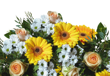 Welke vrijwilliger gun jij bloemen?