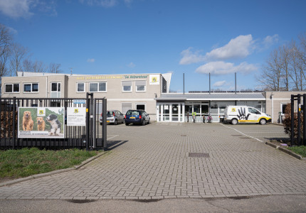 Dierenwelzijn op hoog peil