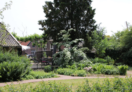 Stinzenplanten in tuin èn galerie