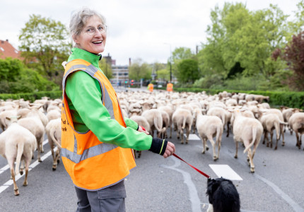  ‘Grazen wat de pot schaft, in dienst van de natuur’