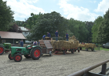 Kinderboerderij Laag Buurlo viert Oogstfeest
