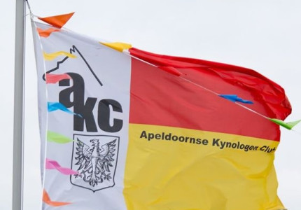 Een weekend vol hondensport