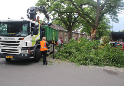 Deel van boom belandt op auto in Apeldoorn