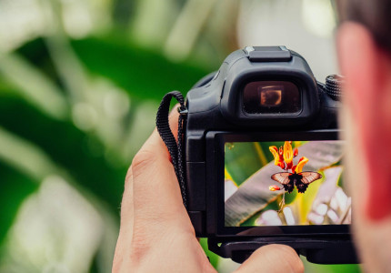 Fotowedstrijd zet biodiversiteit centraal