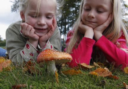 De herfstvakantie komt eraan! Vind hier de uittips!