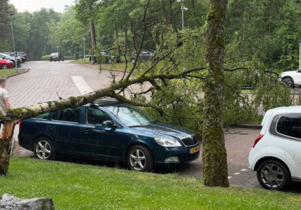 Boom valt op geparkeerde auto bij Landal Coldenhove