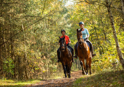 Staatsbosbeheer start campagne voor ruiters op de routes