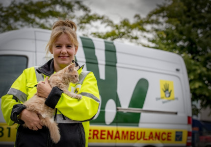 Ook dieren hebben te maken met coronamaatregelen