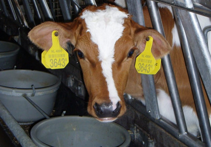 Boeren aan de slag met toekomstbestendig verdienmodel