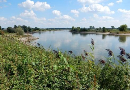 Samen de natuur verbeteren in de Wilpsche Klei