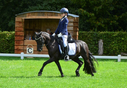 Volop paardenplezier bijHippische Vereniging Epe
