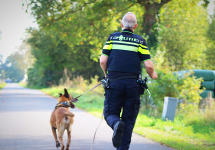 Automobilist rijdt door vier tuinen