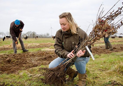 Nog anderhalve week flinke korting op groen tijdens boomdeeldagen