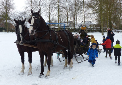 Leuvenheimse kinderen op de arrenslee