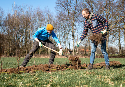 Streekeigen bomen en struiken in buitengebied