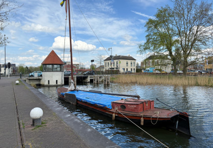 Waterpest in het Apeldoorns Kanaal, wat doen ze eraan?