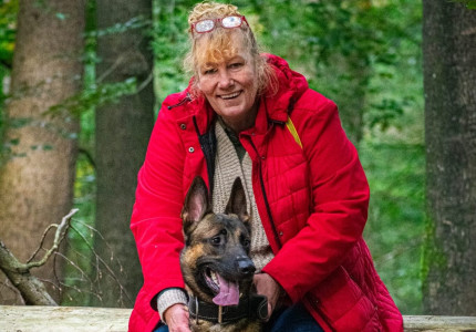 ‘Mijn hond heeft geen pijn’