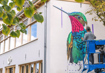 Apeldoorn fleurt op: Muurschilderingen brengen kleur én kunst in de binnenstad