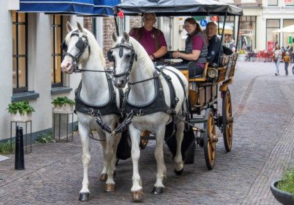 ‘Daar komt de Paardentram aan’