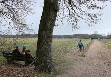 Wandelen in natuurrijk gebied