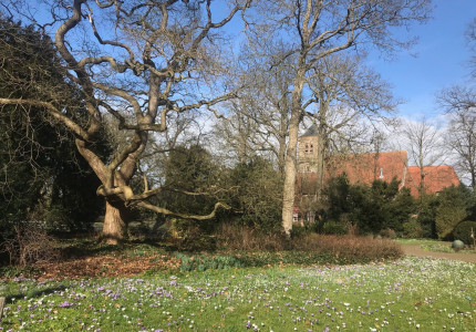 Lente in de Overtuin
