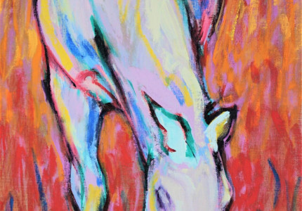 Nieuwe deelnemer Kunstkamer Vaassen heeft fascinatie voor paarden en spechten