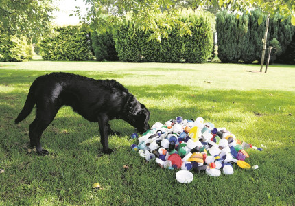 Doppen voor de geleidehonden