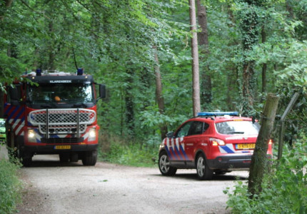 Bosbrandje aan de Wittekruisweg Lieren