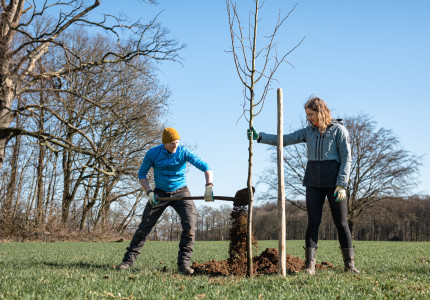 Bliksemactie voor meer bomen groot succes